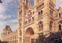 Natural History Museum After