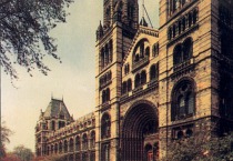 Natural History Museum Before